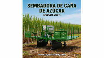 Sembradora de caña de 1 surcos