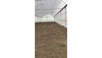 greenhouse
