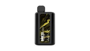 BREZE STIIK SPACE 6000 puffs