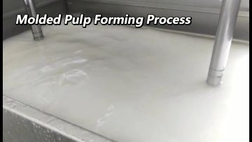 Custom biodegradable no cut edge cross cutting pulp molded packaging products1