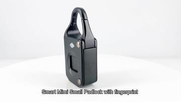 Small mini Fingerprint Padlock DXP20-SC
