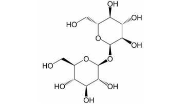 Trehalose Powder