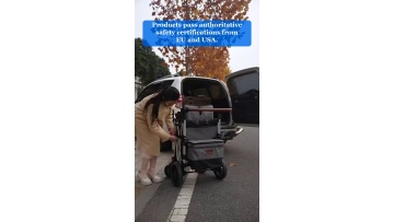 Video 39