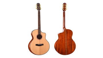 810SSstringed instruments guitar acoustic