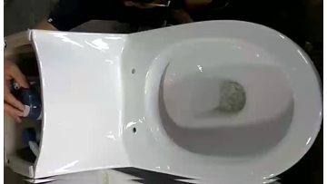 one piece toilet 8243 flushing 4.8L