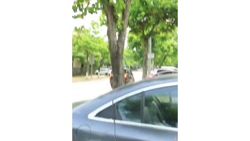 Car curtain sunshade heat insulation summer sunscreen windshield cover front curtain shield light shield Aluminum car sunshades1