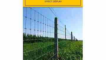 1 (2)Pig fence