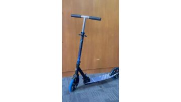 2 wheels scooter for child and adult A1-205C