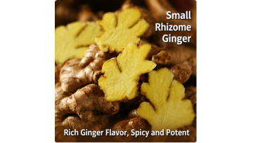 fresh ginger