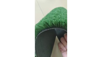 tennis grass