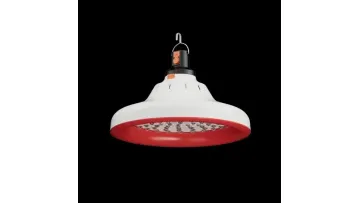 Portable Rechargeable LED Light Bulb for Power Failures1