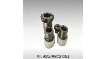 NL Type Nylon Tooth Gear Flexible Coupling