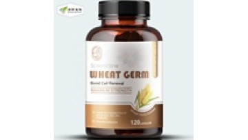 High-Quality Nutritional Supplements: Thiamin, Zinc Spermidine Trihydrochloride, and Wheat Germ Extract in Capsule Form1
