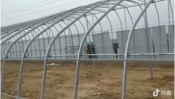 Low Cost Commercial Tunnel Mushroom Single Span Agricultural Greenhouses With Blackout System For Sale1