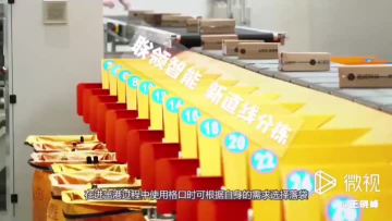 sorting 2.mp4