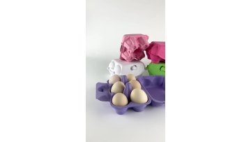 Wholesale Chicken Egg Carton Boxes1
