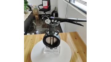 Lug Butterfly Valves