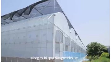 Customized Greenhouse China Factory Outlet Agricultural Greenhouses Multi-Span Plastic Film Tunnel Hydroponic Green House1