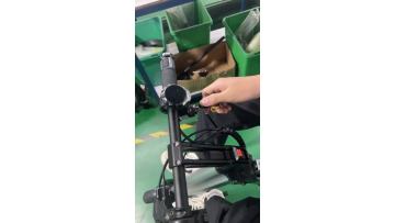 FS-18L electric scooters adults