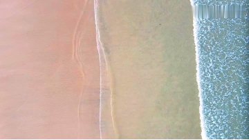 Unsweetened Butter Cookies