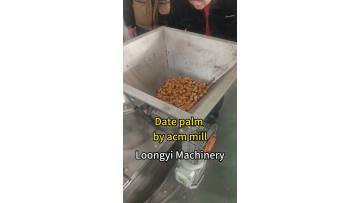 Date ultrafine pulverizer