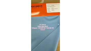 CY-6519 POLY EYE BIRD