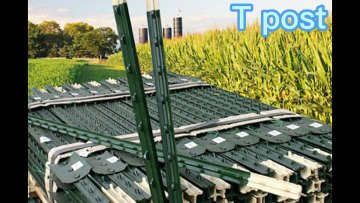 Factory direct T Post / Metal Posts Steel Fence Post1