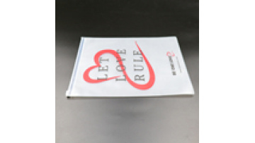 Frosted Printing Logo CPE Packaging Zipper Lock Bag for Clothing Package PE Apparel Side Gusset Bag1
