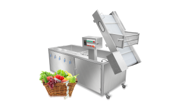 ST-QX2200 Fruit and vegetable washing machine 