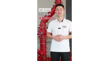 High quality fire-fighting pipe fittings.fire-fighting equipment