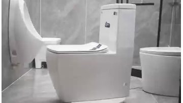 white toilet