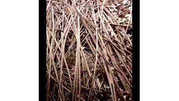 Cooper Scrap Wire