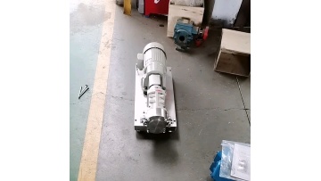 Stainless steel CAM rotor pump Food delivery pump Small flow rotor pump1