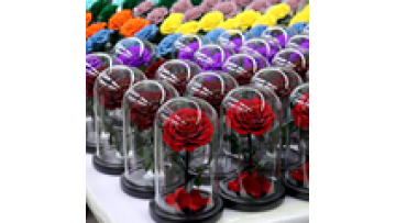 Mothers Day Gift: Red Natural Rose in Glass Dome - Enchanted Eternity Infinity Forever Rose1