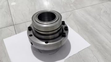 Mechanical seal 1