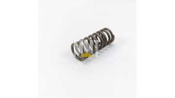 Valve Spring 316-5977