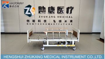 D01-FS electric home care bed