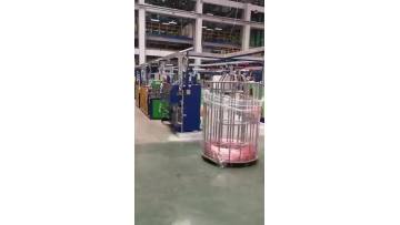 Flat Wire Enamelling Machine.