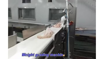 Weight grading machine_03