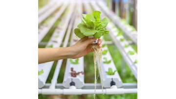 Hydroponics tube