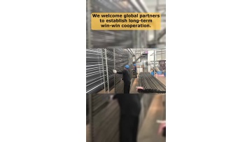 Video 20