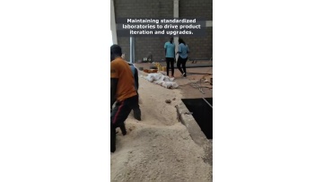 Video 16
