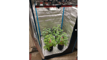 320w full spectrum led grow light