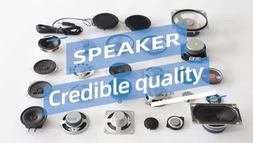Speaker                           