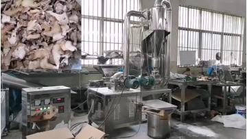 bletilla powder gridning machine (1)