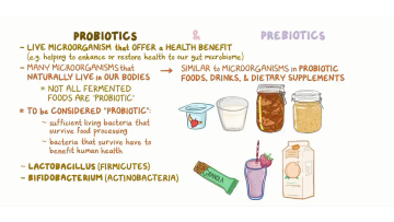 Prebiotics & probiotics