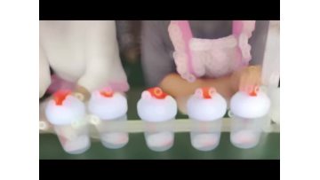  Shaker Bottles packaging production line