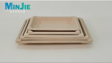 molded pulp sushi plate