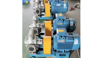 stainless steel 304 material gear oil delivery pump1