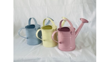 Metal Watering Can